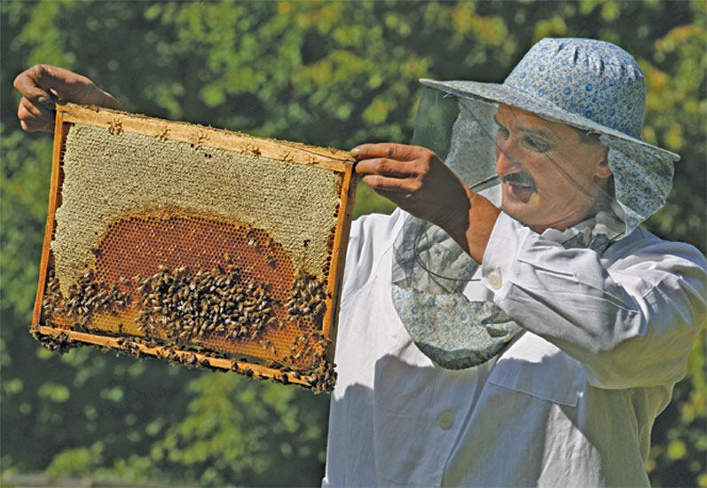 Башҡорт балы