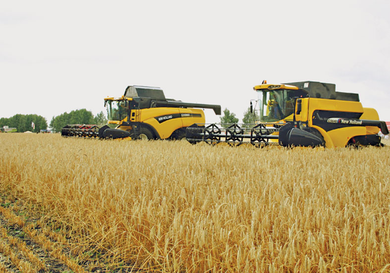 Уңышты урып-йыйыу. Стәрлетамаҡ районы.