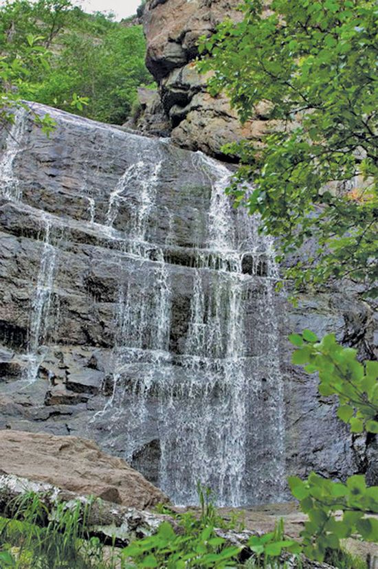 Ғәҙелша шарлауығы