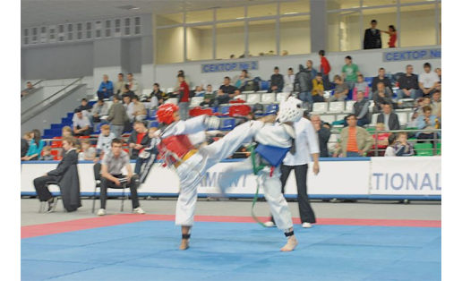 Всероссийский турнир по тхэквондо “Юный динамовец”. Уфа, 2010